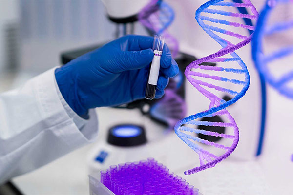 Choose Accurate DNA for safe, non-invasive prenatal paternity testing with 99.9% accuracy, fast results, and complete confidentiality.